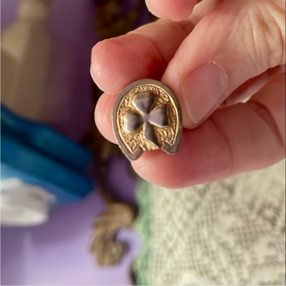 Good Luck Horseshoe Pin